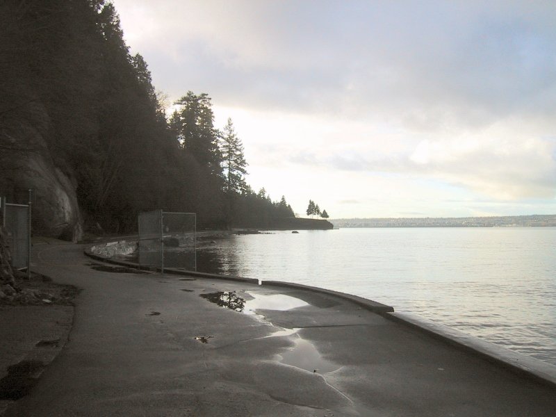 Stanley Park: The way home